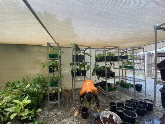 Our Nursery